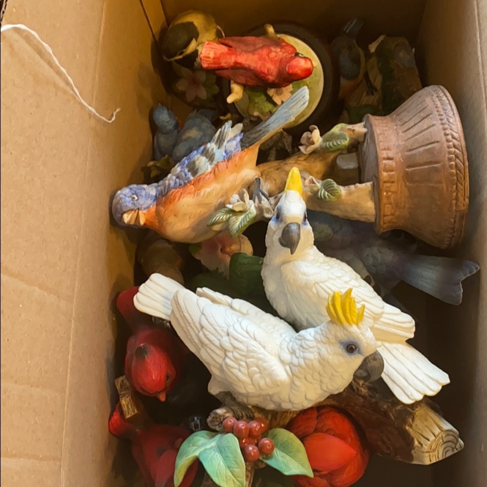 A box of bird’s